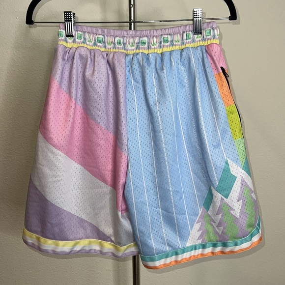 Who Cares? X Trillest What The Pastel Swingman Basketball Shorts - Picture 2 of 3